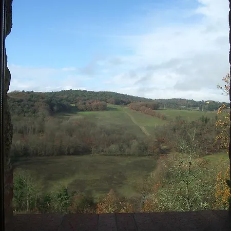 Torre Di Sant'ansano Corsano (Tuscany)